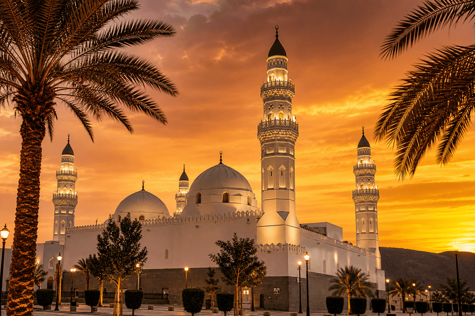 Ziyarah & Tours